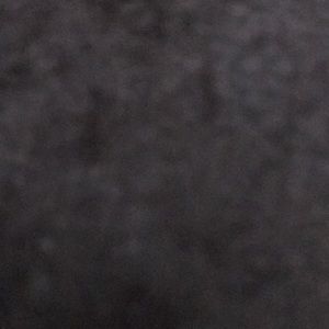 Meet your Posher, Benjamin